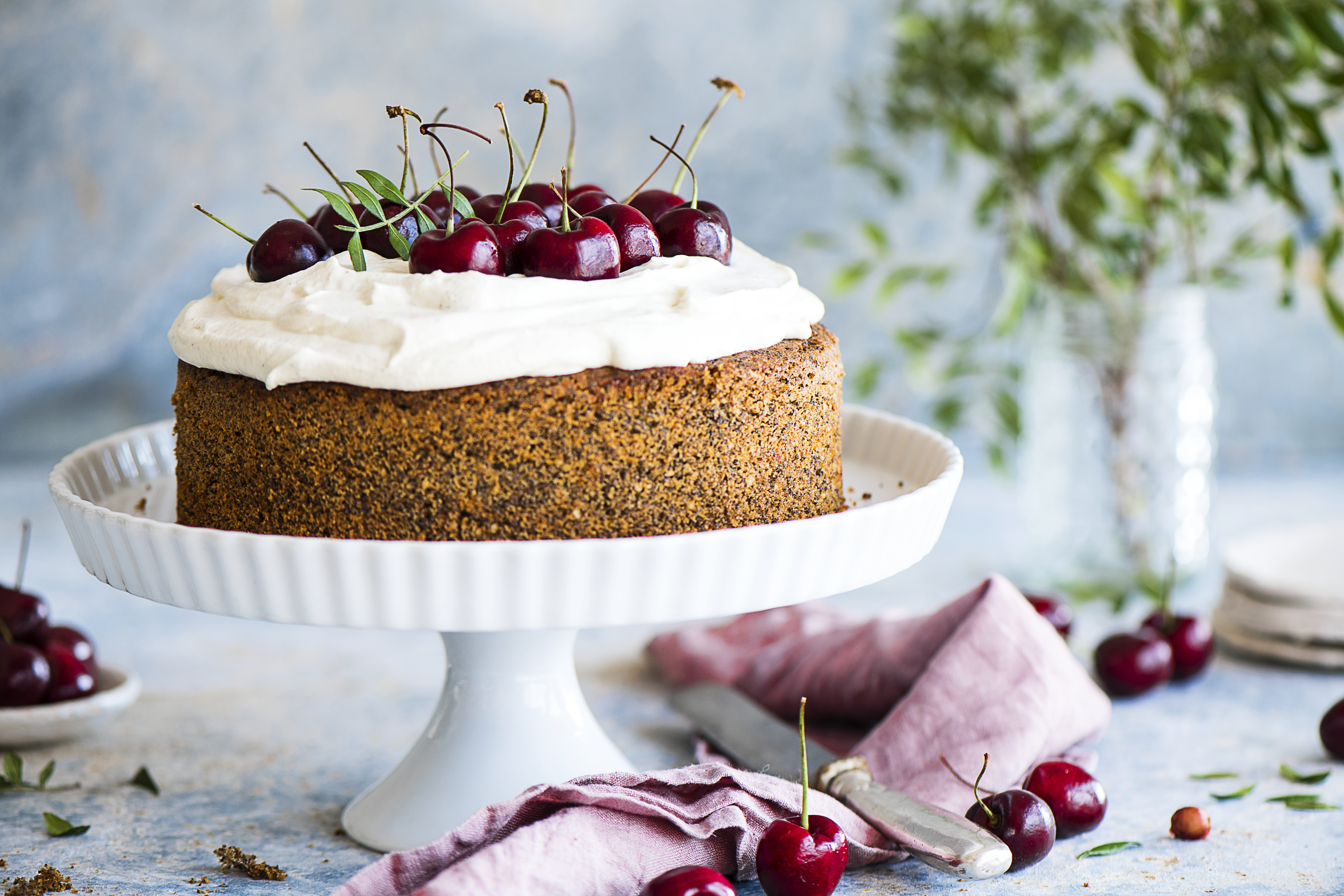 Mohnkuchen mit Topfen-Creme und Kirschen Rezept | Fini´s Feinstes