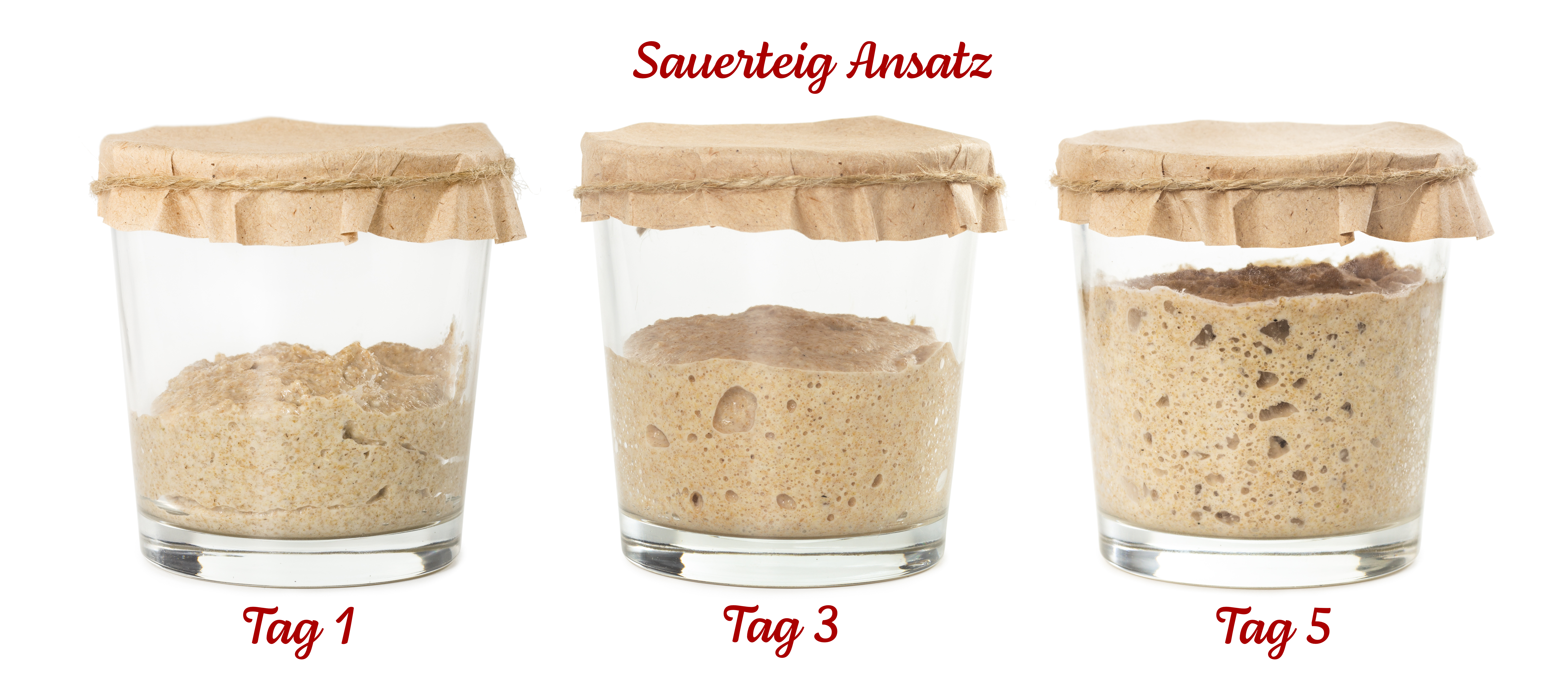 Sauerteig Ansatz Tag 1 bis 5