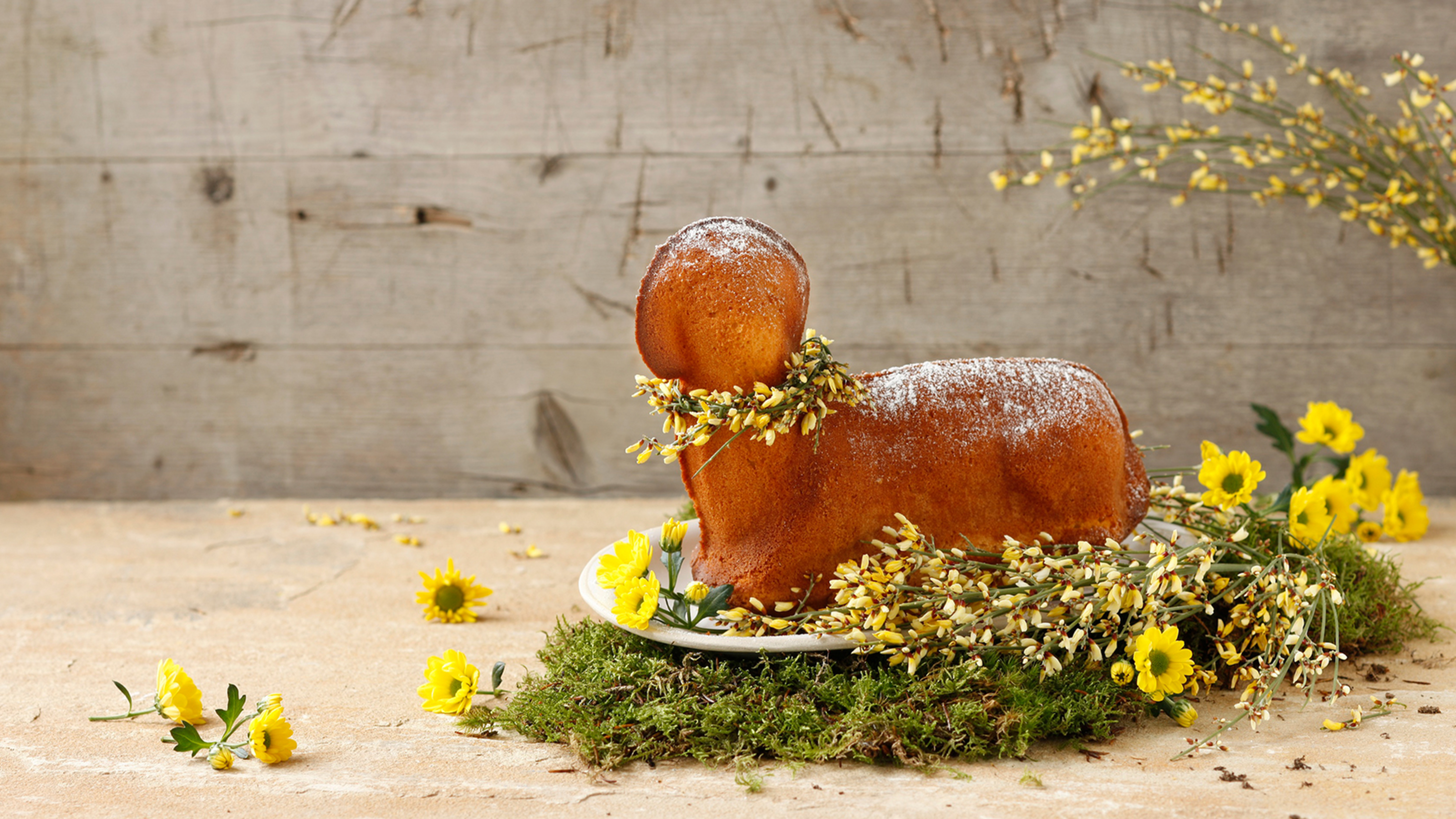 Bild zu Eierlikör-Osterlamm