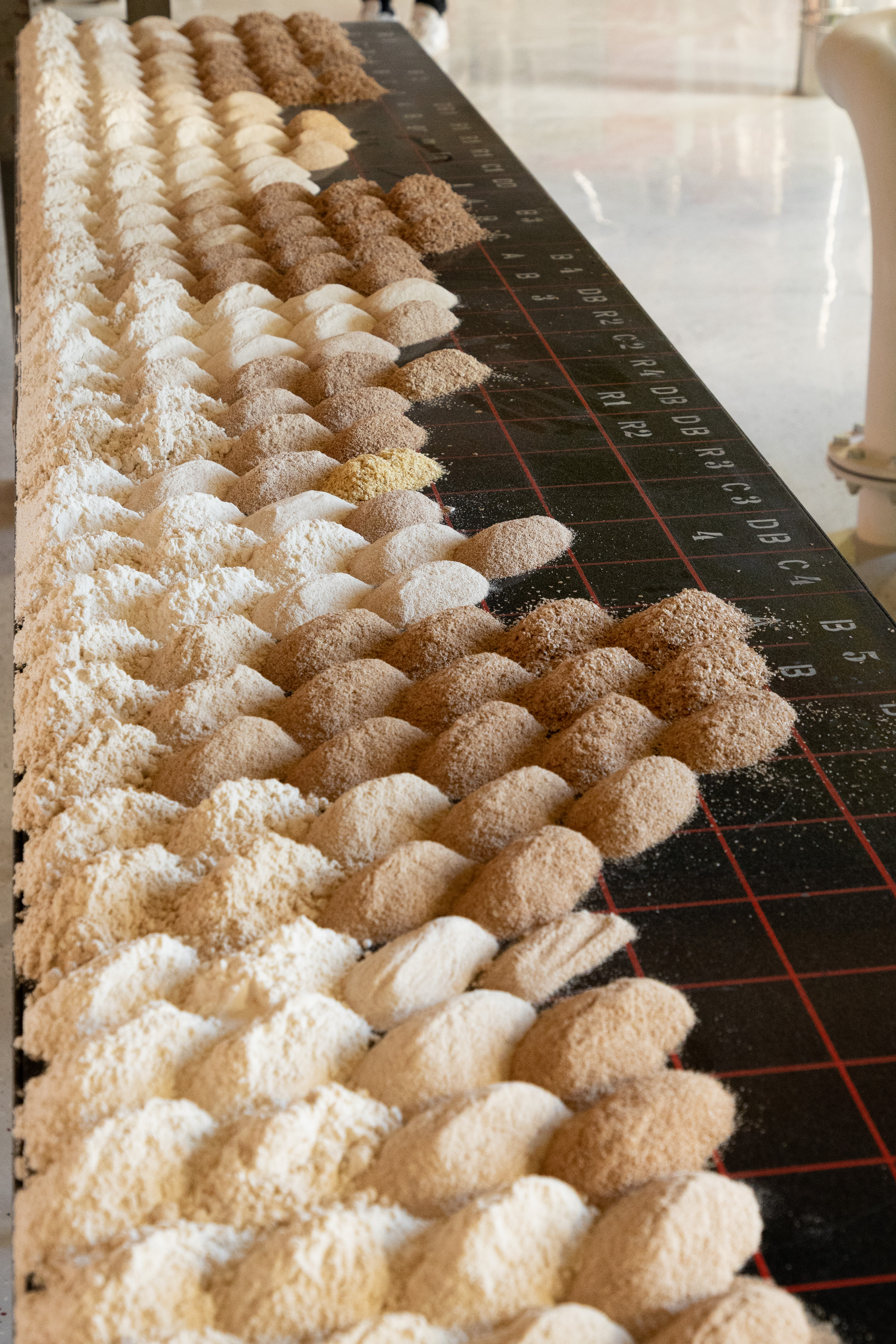 Erzeugnisse verschiedener Passagen bei der Vermahlung © Land schafft Leben