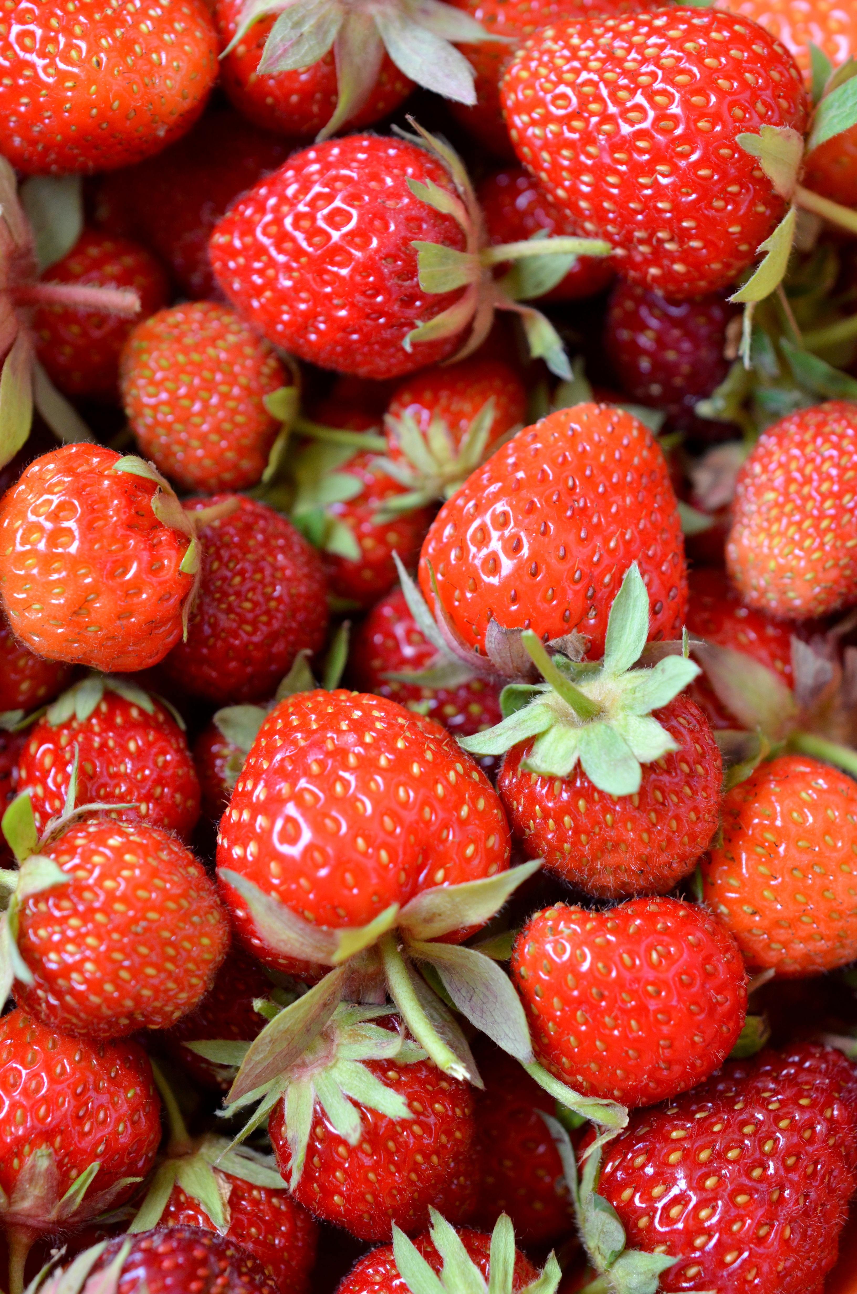 Oh du schöne Erdbeerzeit