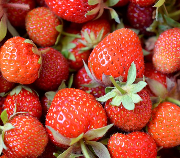 Oh du schöne Erdbeerzeit | Fini’s Feinstes