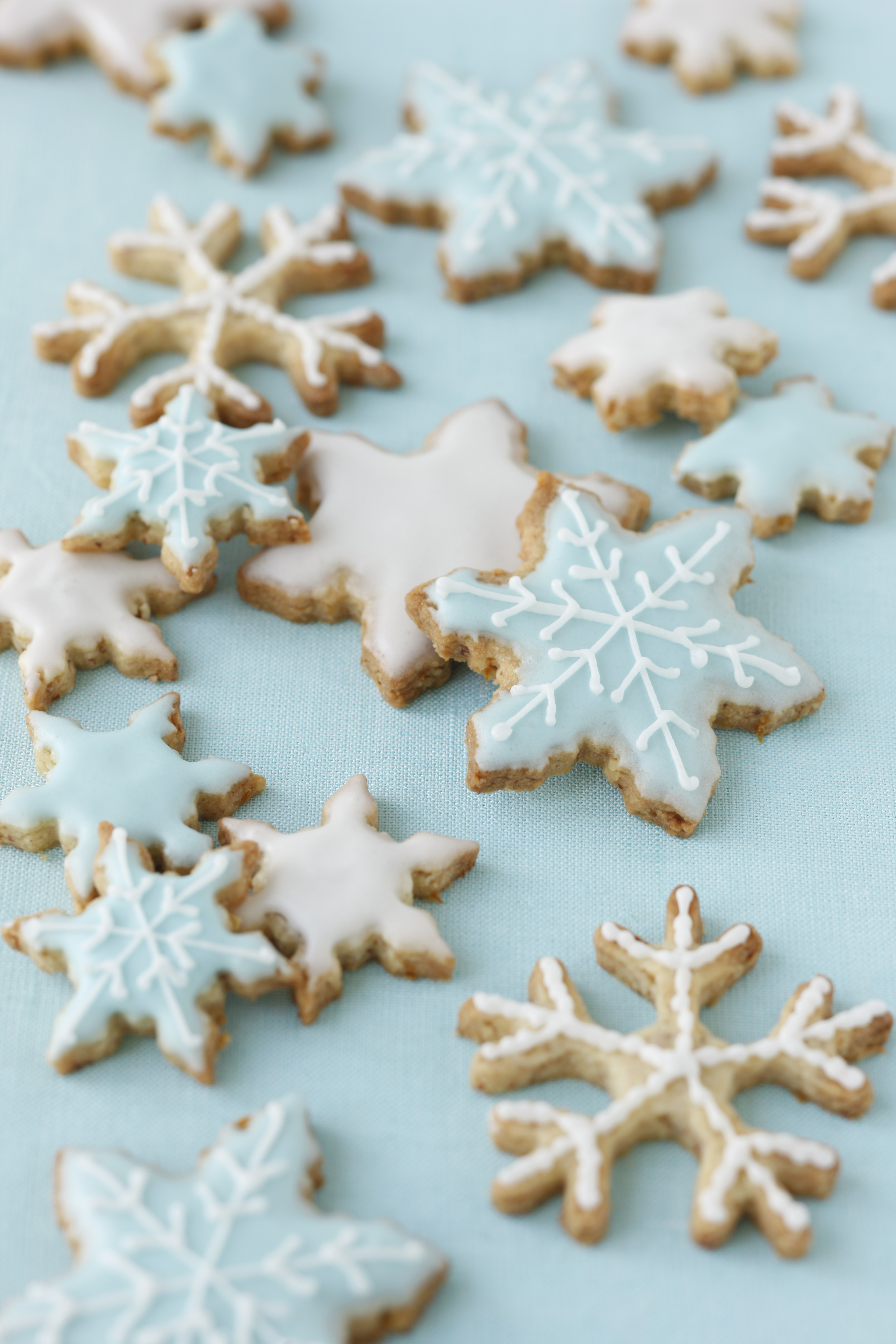 Bild zu Schneesterne