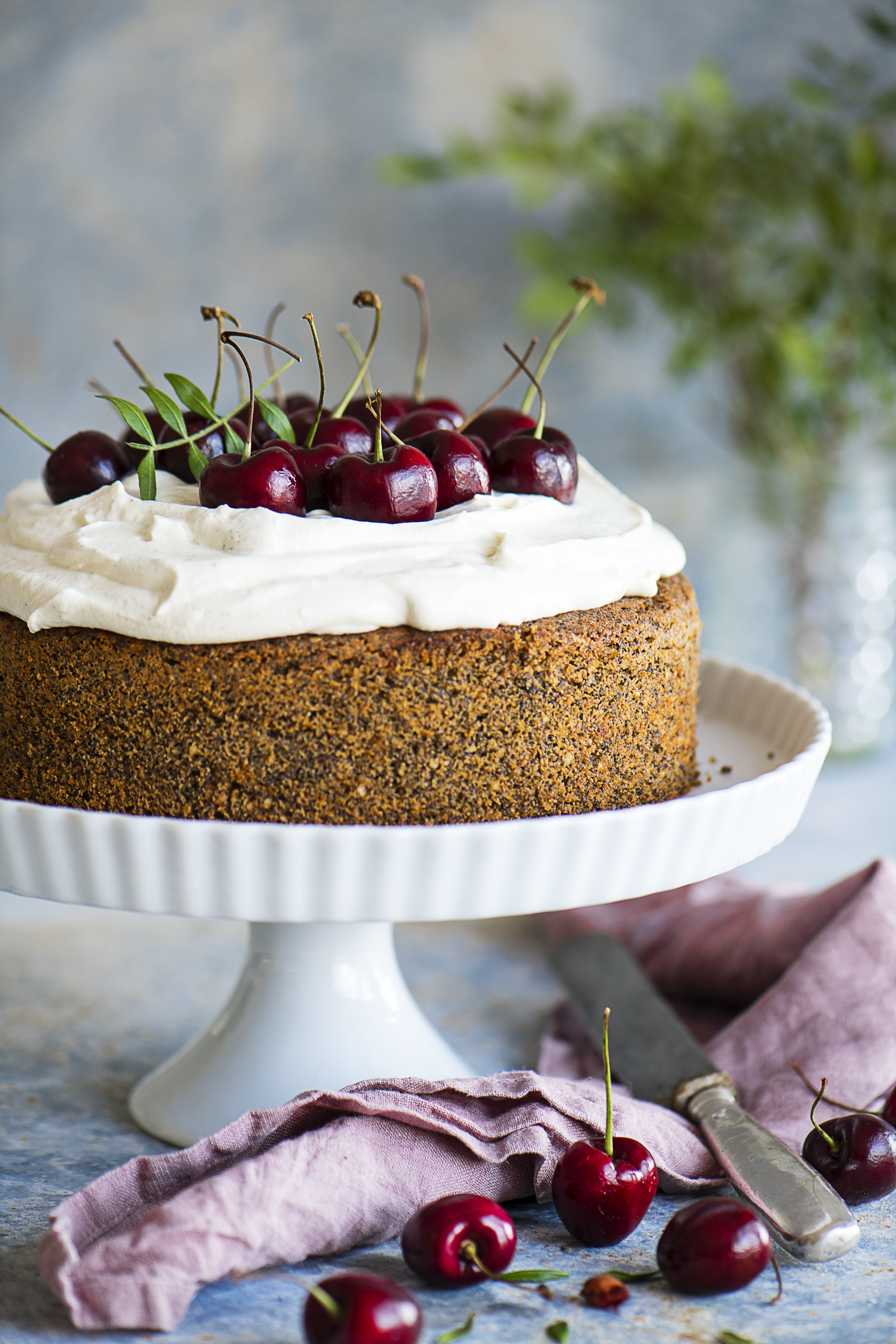 Mohnkuchen mit Topfen-Creme und Kirschen Rezept | Fini´s Feinstes