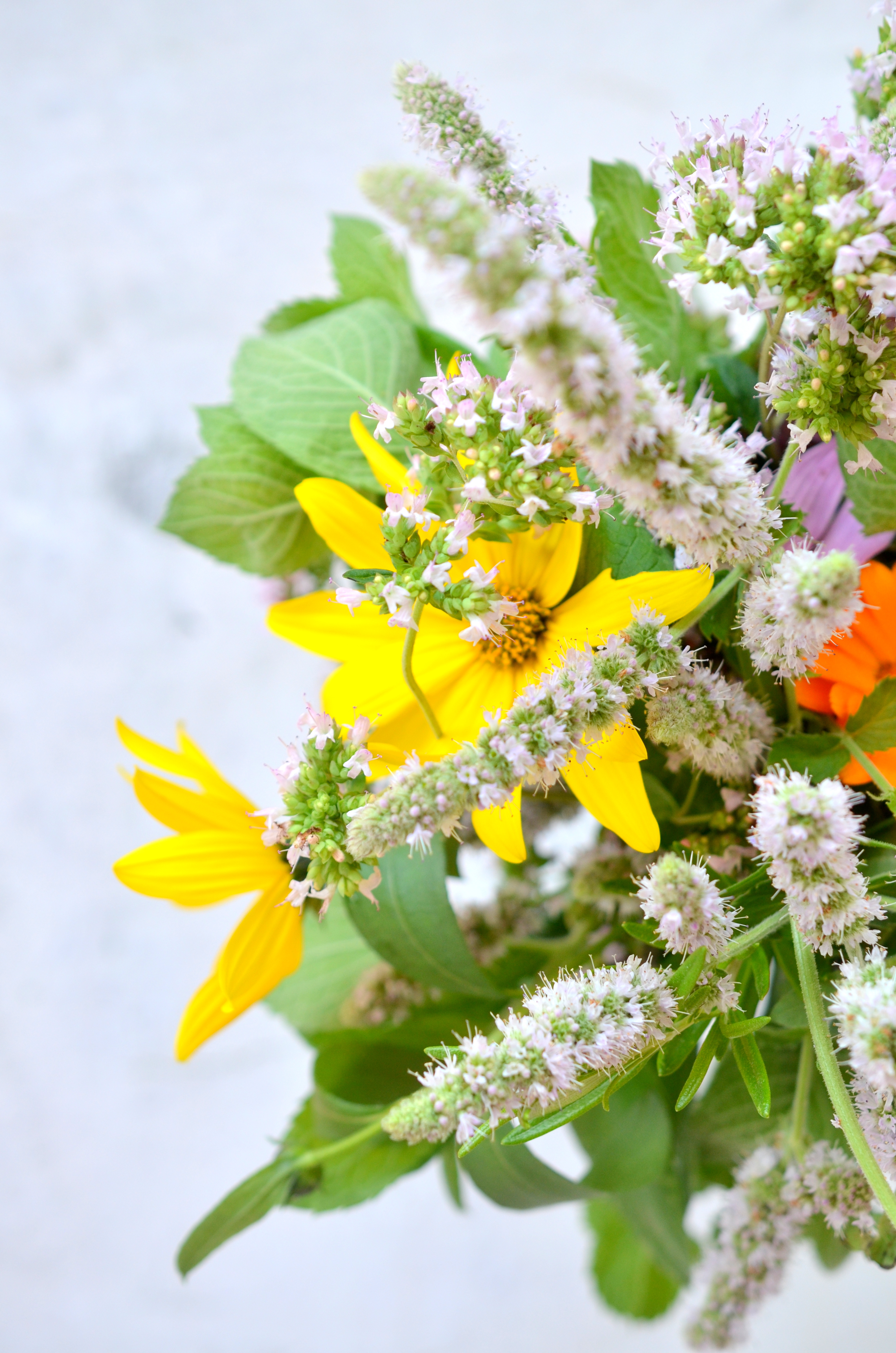 Kräuterkraft: 5 duftende Back-Ideen mit Kräutern