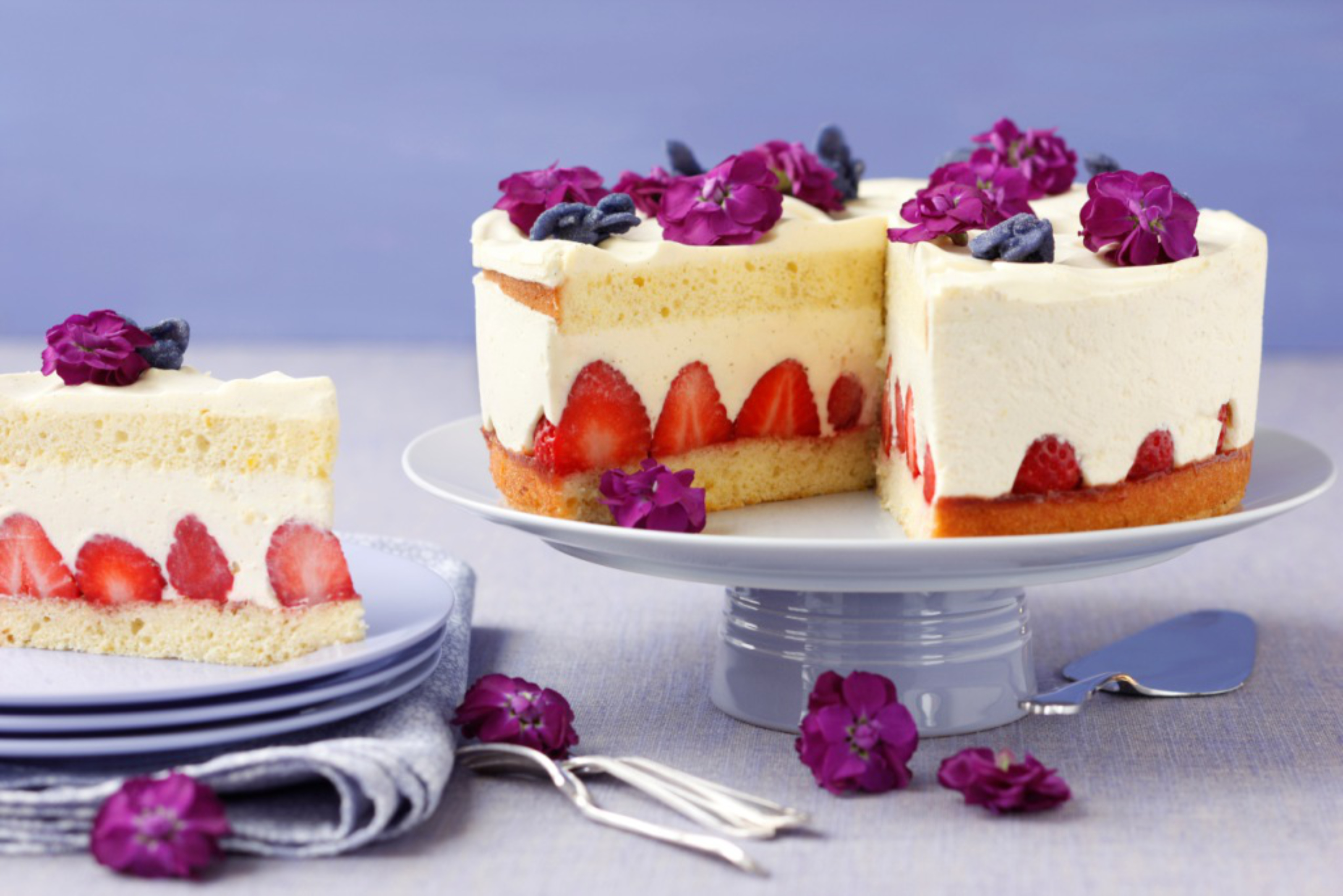 Erdbeer-Vanillecreme-Torte Rezept | Fini´s Feinstes